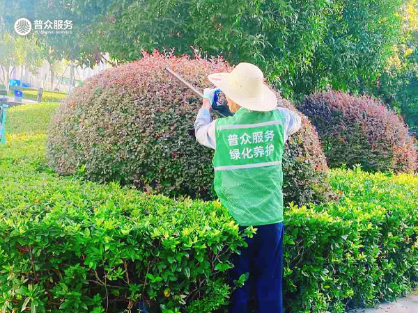 园林养护